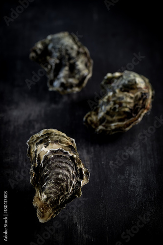 Raw oysters on the graphite board