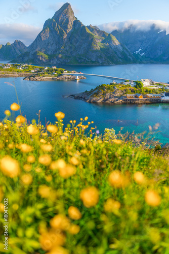 Landscape of Summer Lofoten islands is an archipelago in the county of Nordland  Norway.