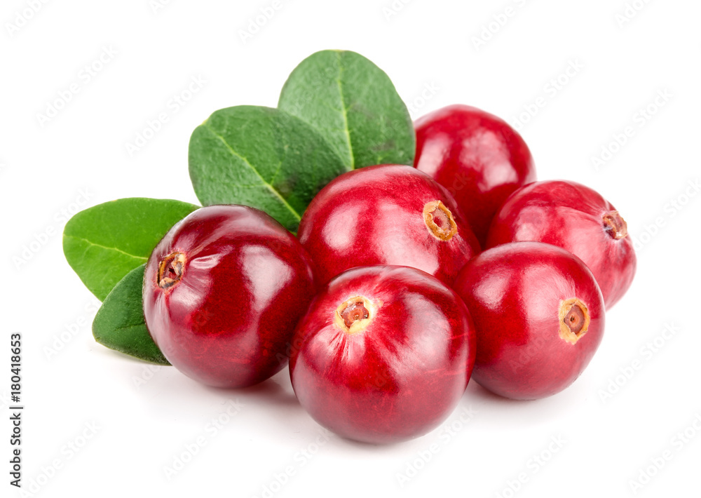 Cranberry with leaf isolated on white background closeup macro Cranberry with leaf isolated on white background closeup macro