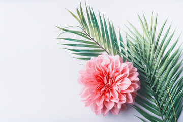 Pastel pink flower and tropical palm leaves on white desktop background, top view, creative layout with copy space, border
