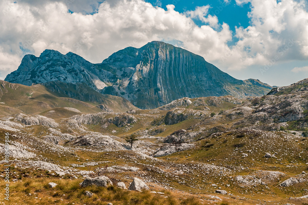 Obraz premium Durmitor National Park, Montenegro