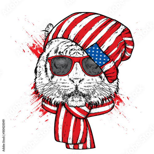 Fototapeta Naklejka Na Ścianę i Meble -  A beautiful tiger in a stylish hat and scarf. Vector illustration for prints on clothes, postcards or posters. Stylish animal-hipster.
