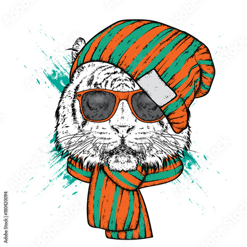 Fototapeta Naklejka Na Ścianę i Meble -  A beautiful tiger in a stylish hat and scarf. Vector illustration for prints on clothes, postcards or posters. Stylish animal-hipster.