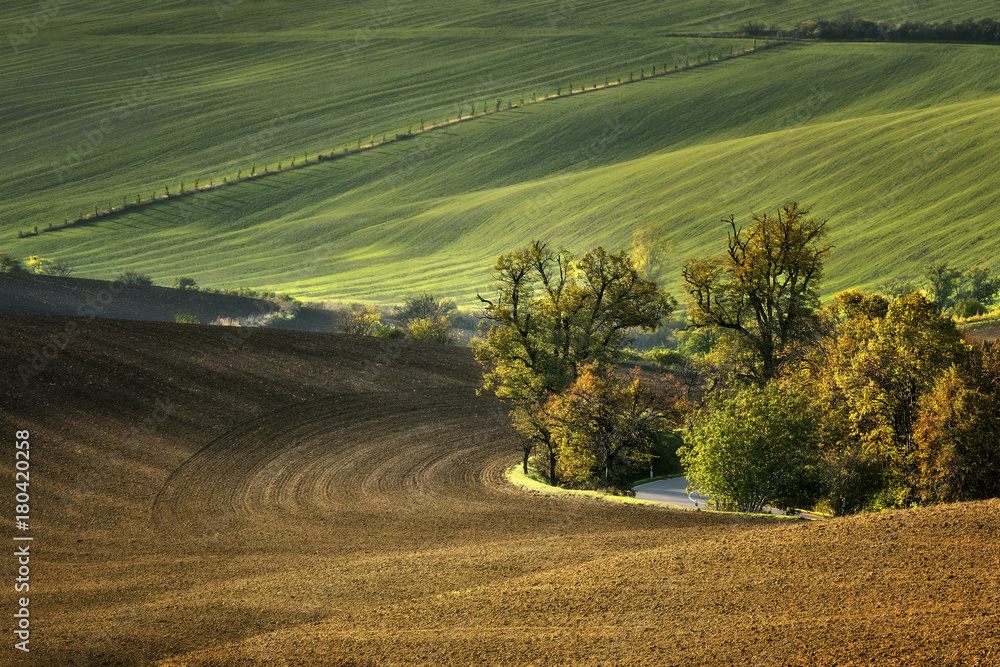 Fototapeta premium Moravian fields, Moravia, Czech Republic, around the village Kyjov 