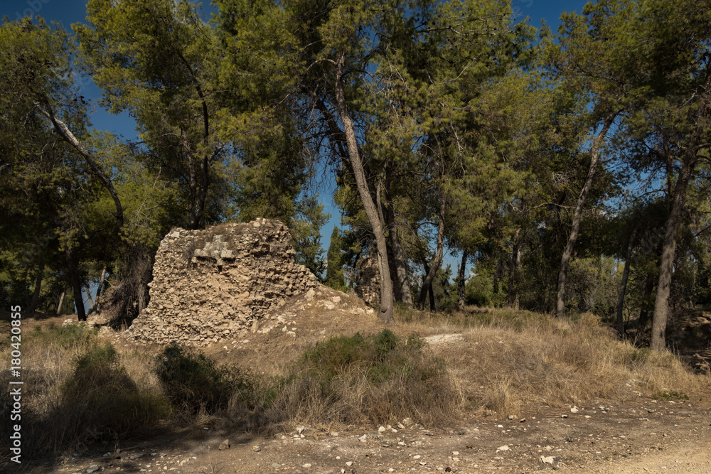 Ruins in forest (Quleh, Israel)
