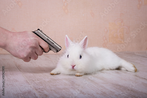 Εκτύπωση καμβά Funny rabbit with a gun