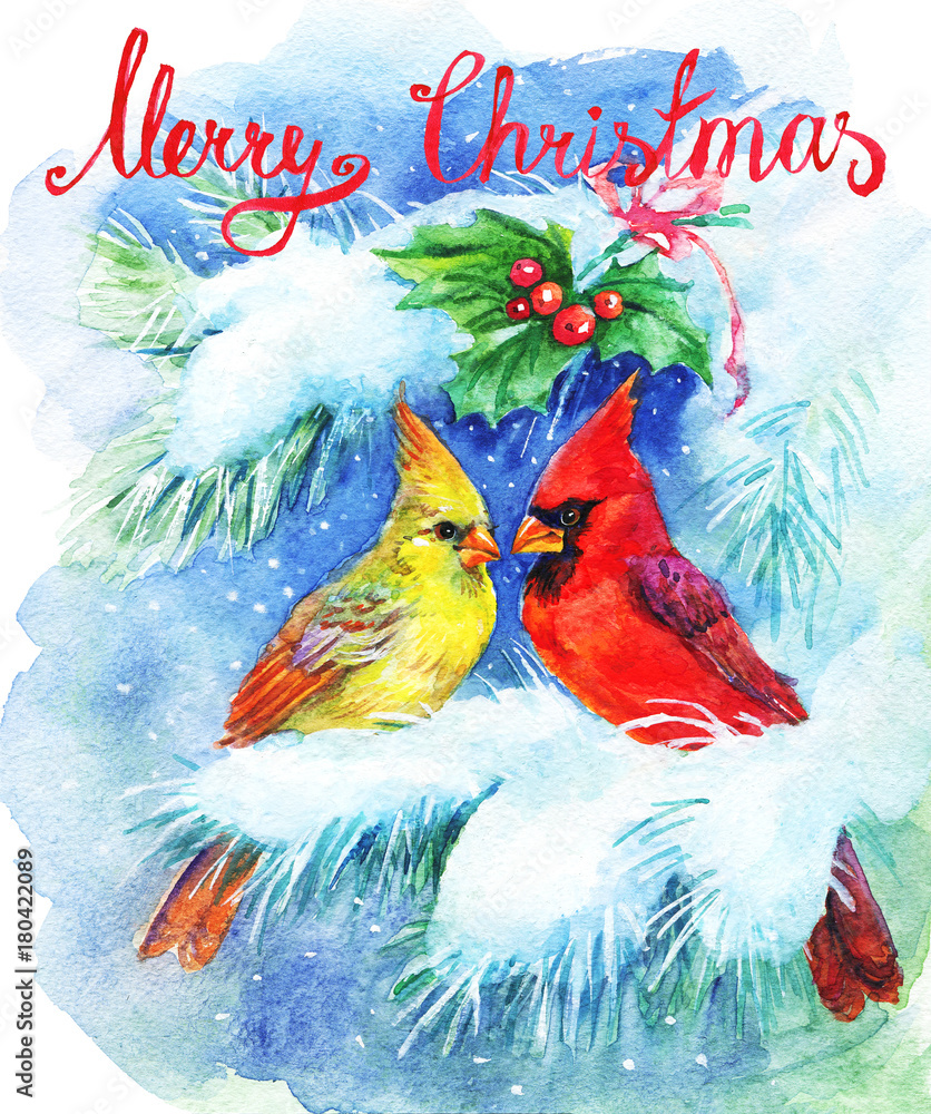 Watercolor Christmas greeting card with cardinals and mistletoe. Hand drawn vintage illustration