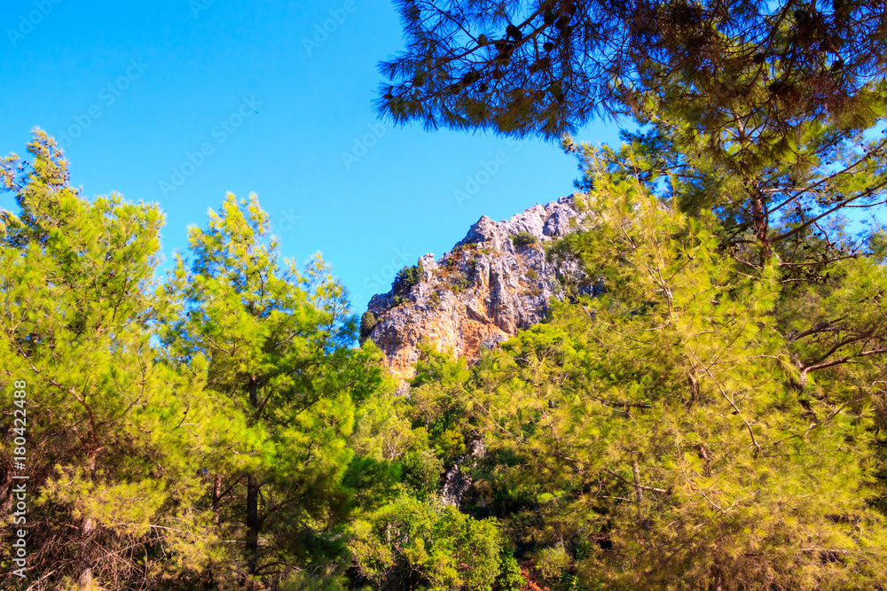 Fototapeta premium Green Hills