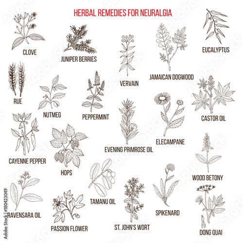 Fototapeta Naklejka Na Ścianę i Meble -  Best herbal remedies for neuralgia