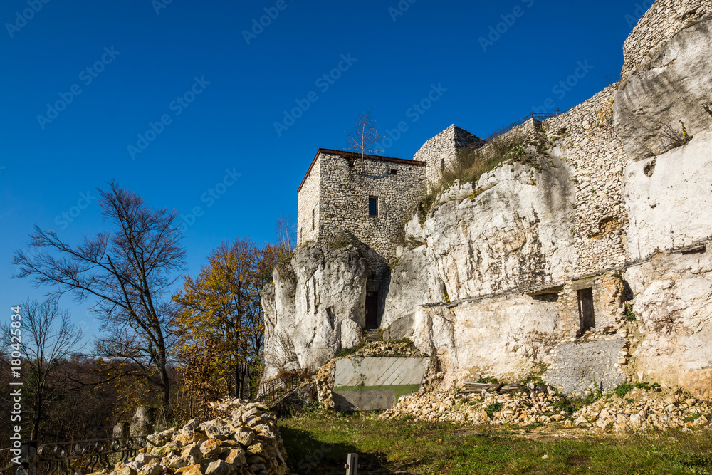 Castle Bakowiec in village Morsko on Jura Krakowsko-Czestochowska, Silesia, Poland