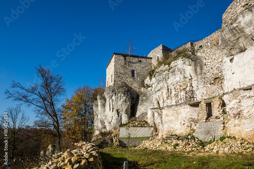 Castle Bakowiec in village Morsko on Jura Krakowsko-Czestochowska, Silesia, Poland photo