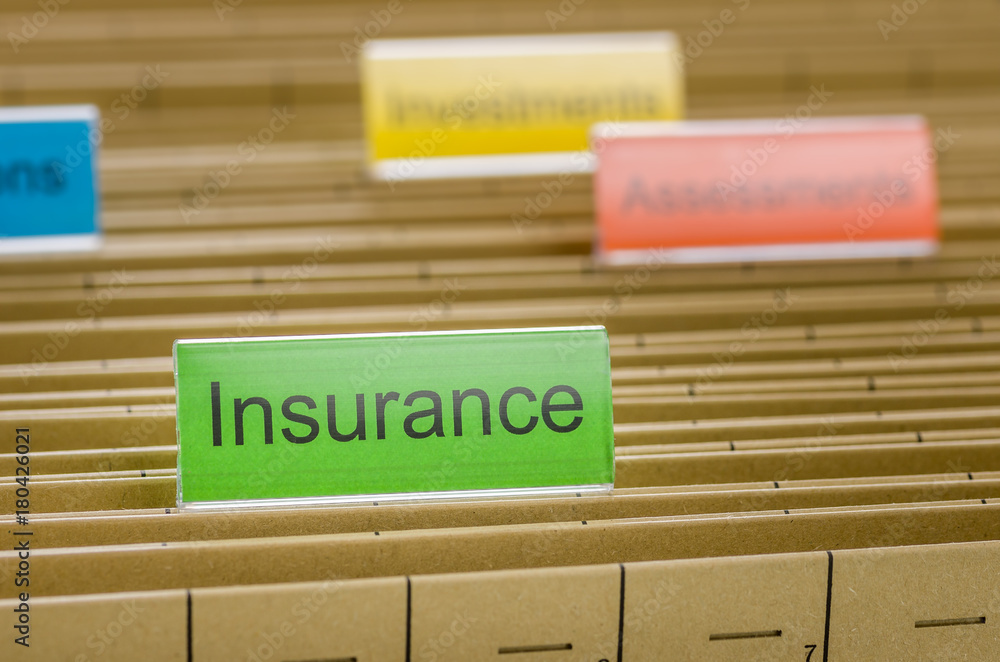 Hanging file folder labeled with Insurance Hanging file folder labeled with Insurance
