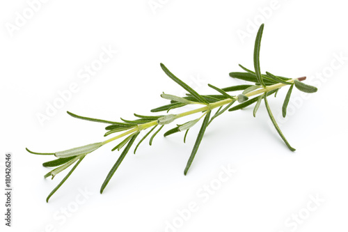 Rosemary isolated on white background  Top view.