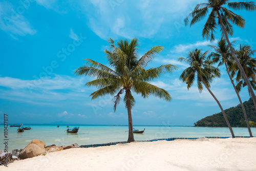 Fototapeta Naklejka Na Ścianę i Meble -  Palm and tropical beach Phi phi island Thailand