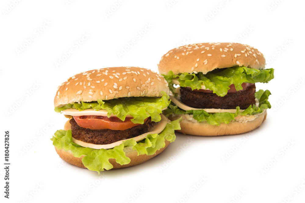cheeseburger isolated cheeseburger isolated