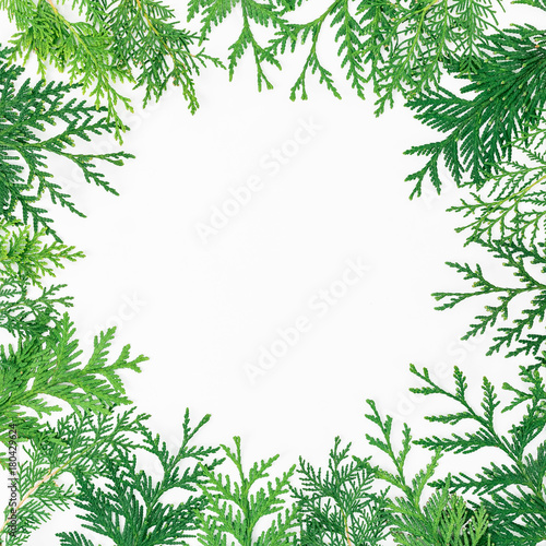 Christmas round frame made of winter trees on white background. Christmas or New year concept. Flat lay  top view