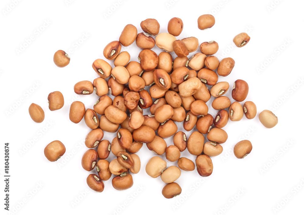 soybeans isolated on white background top view soybeans isolated on white background top view