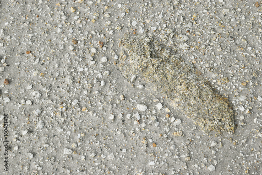 Brown ground and stone surface background ,Nature style and empty space for text. Brown ground and stone surface background ,Nature style and empty space for text.