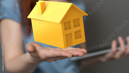 home concept