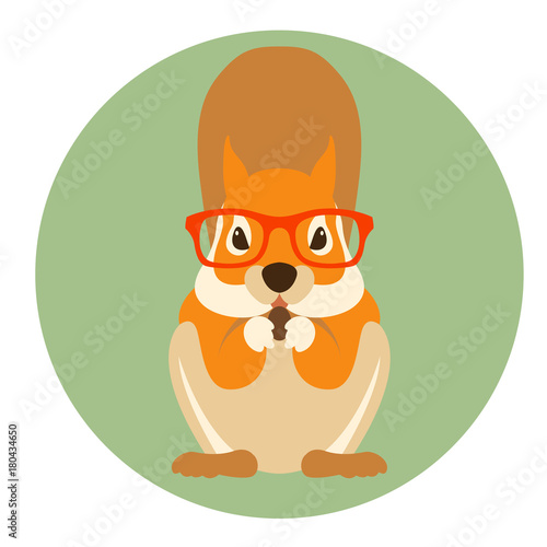squirrel rodent in glasses vector illustration flat style