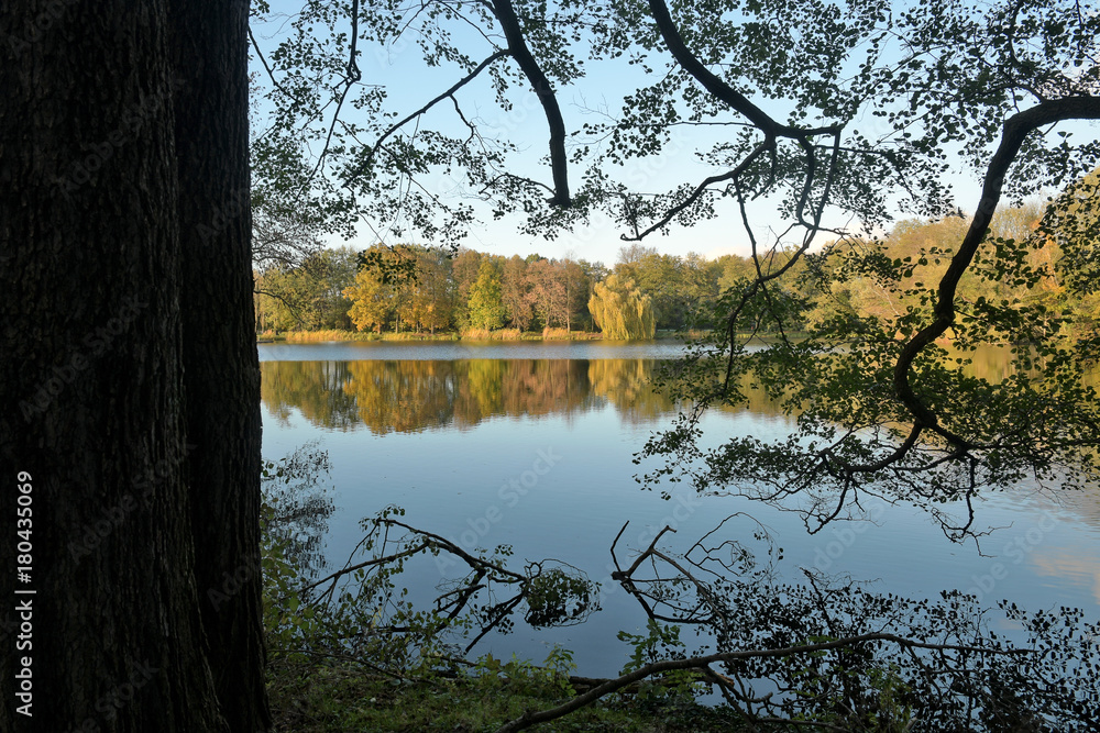 Fototapeta premium herbststimmung