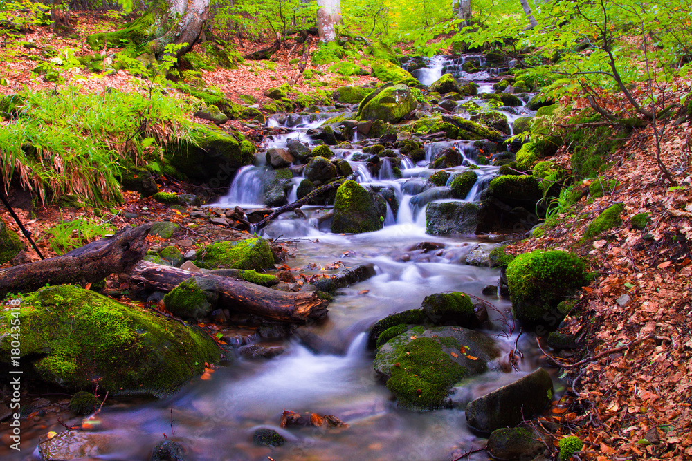 River in the autumn forest, mountain waterfall River in the autumn forest, mountain waterfall