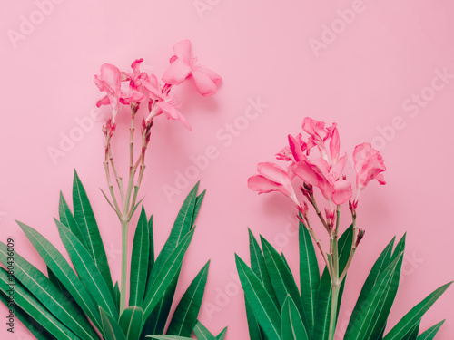 summer background concept with bouquet of pink oleander tropical flower arrange on pastel pink background