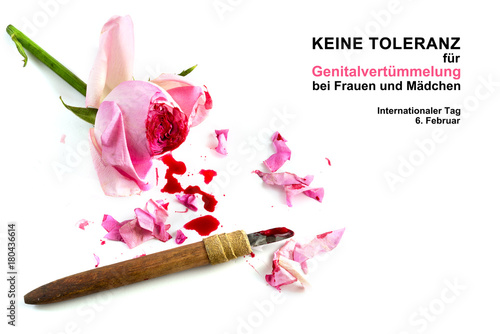 cut rose blossom, blood and knife isolated on a white background with german text Keine Genitalverstümmelung bei Frauen und Mädchen, that means zero tolerance for FGM photo