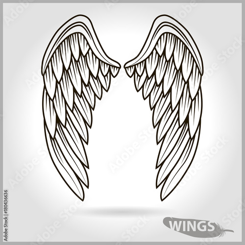 Two vector wings with shadow