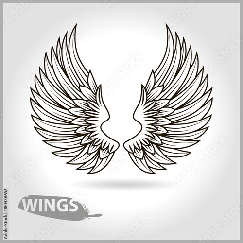 Two vector wings with shadow