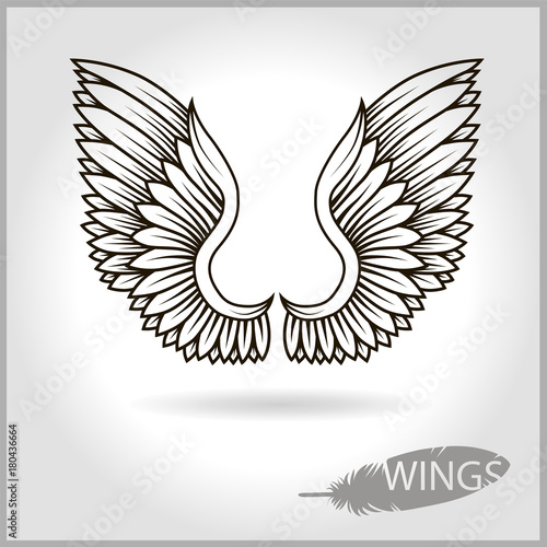 Two vector wings with shadow