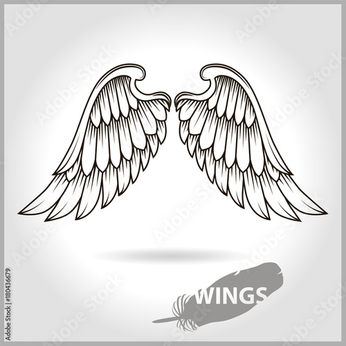 Two vector wings with shadow