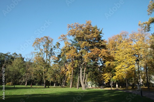 multicolor scenic of autumn in park