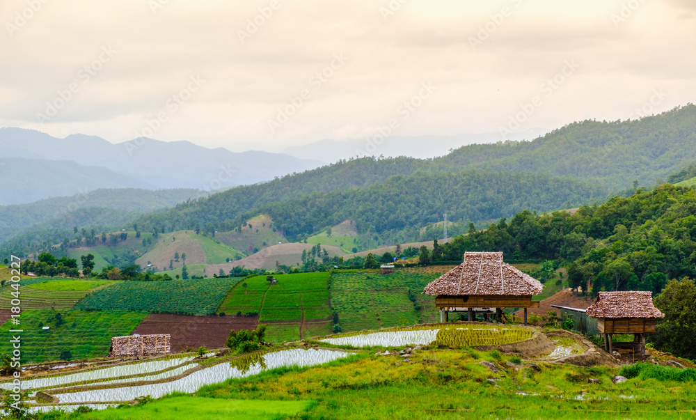 Hut in rice fileds on mountains Hut in rice fileds on mountains