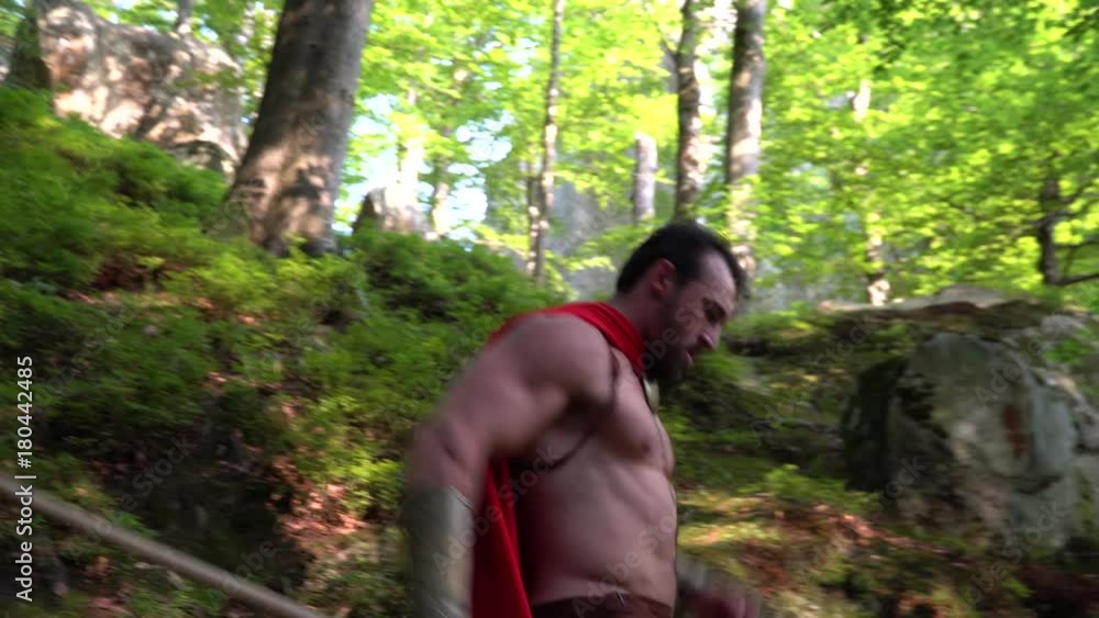 Low angle shot of a handsome mature muscular medieval warrior with stunning sexy ripped strong body wearing red cape running through the woods with a spear in his hand. Low angle shot of a handsome mature muscular medieval warrior with stunning sexy ripped strong body wearing red cape running through the woods with a spear in his hand.