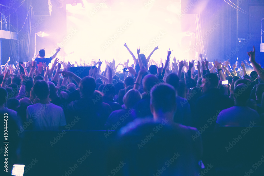 The audience watching the concert on stage.