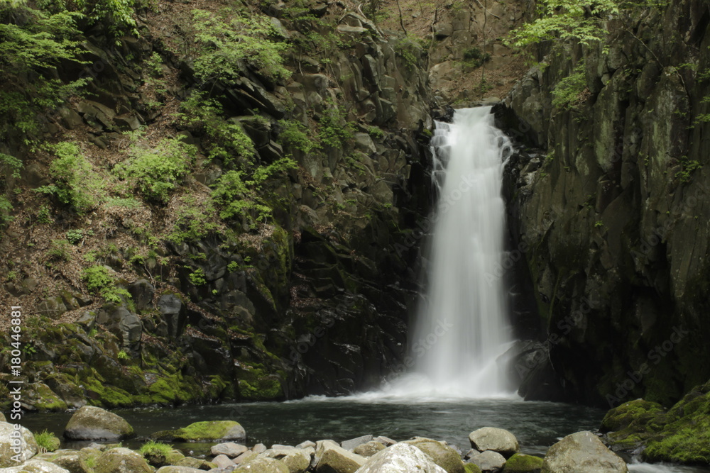 Fototapeta premium 滝