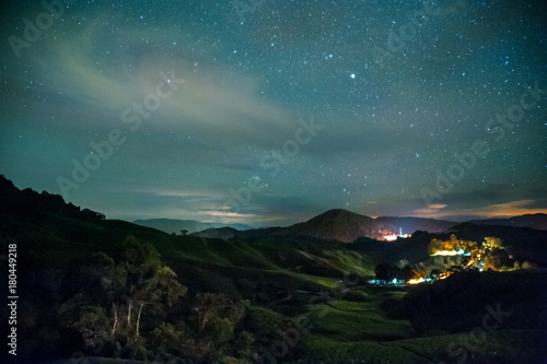 Night view of tea plantation with cloud and star