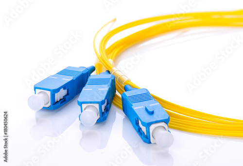 Canvas Print fiber optic coupler with SC connectors on white background