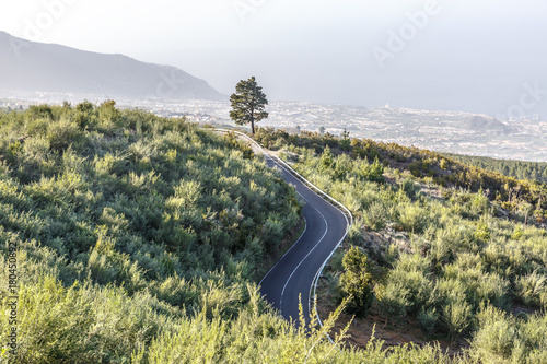 View of a road that crosses an area with vegetation, with atown in the background photo