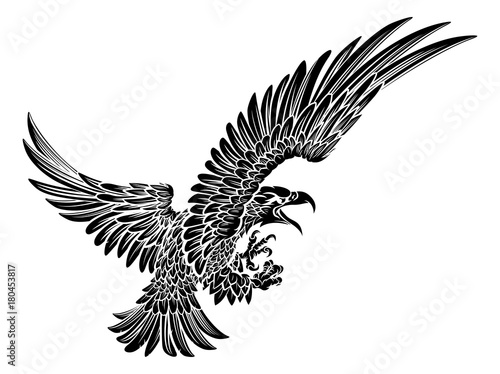 Eagle Bird Swooping