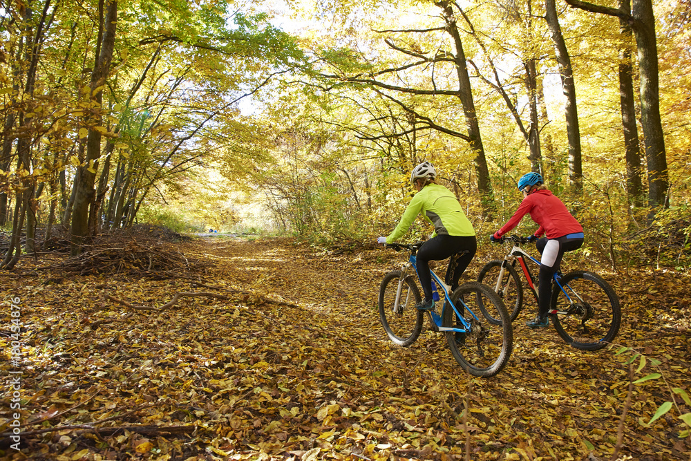 On the mountain. Two cyclist woman enjoying the beautiful scenery while out mountain biking. On the mountain. Two cyclist woman enjoying the beautiful scenery while out mountain biking.