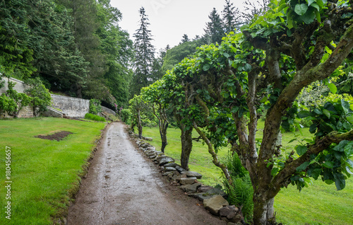 Tree Path