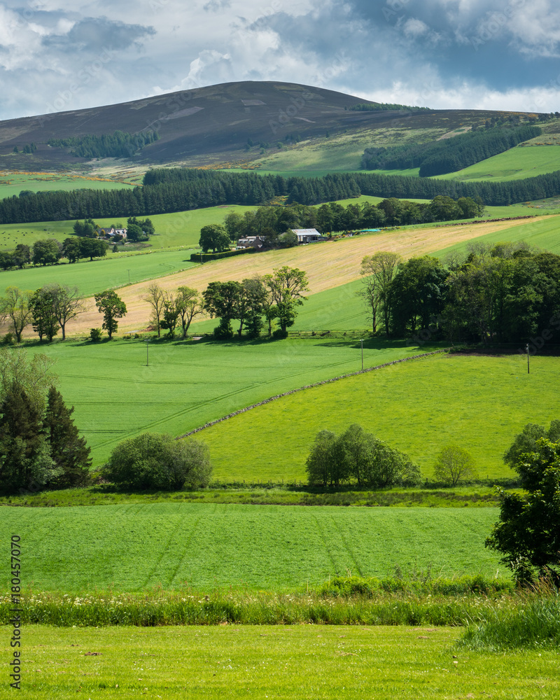 Obraz premium Scottish Hills