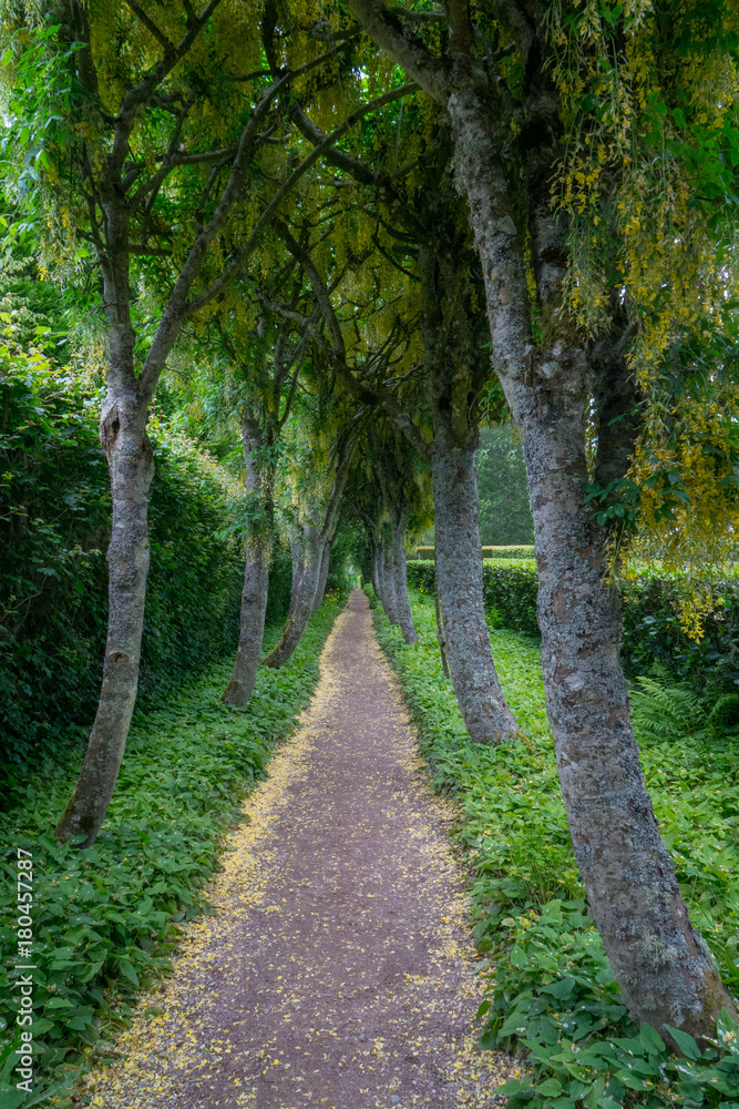 Walkway in Scotland Walkway in Scotland