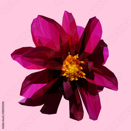 polygonal geometric triangle purple flower, isolated vector illustration