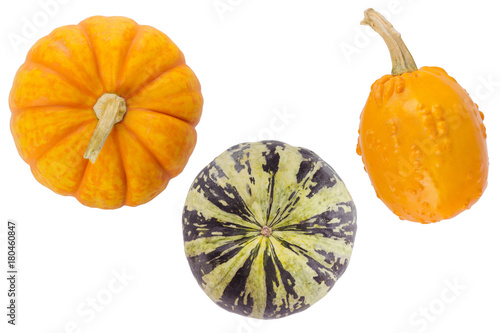 Cute small decorative pumpkins isolated on white background