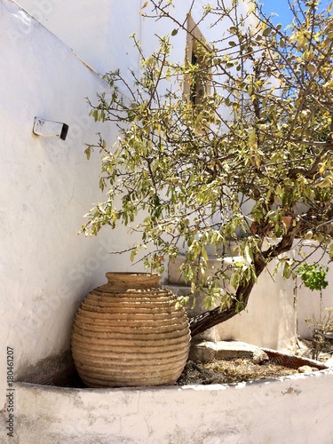 amphora and tree