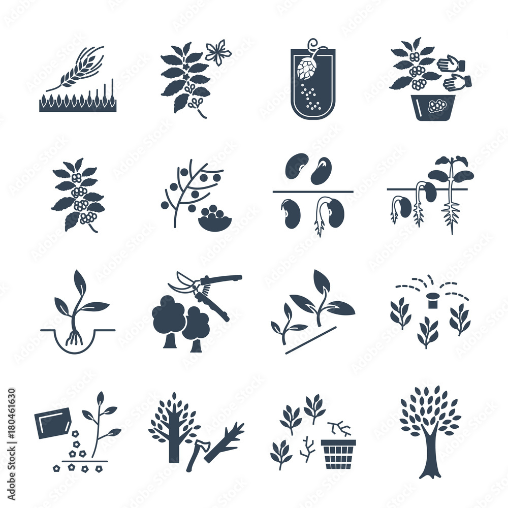 set of black icons plant, herb, grower, coffee, beans, barley