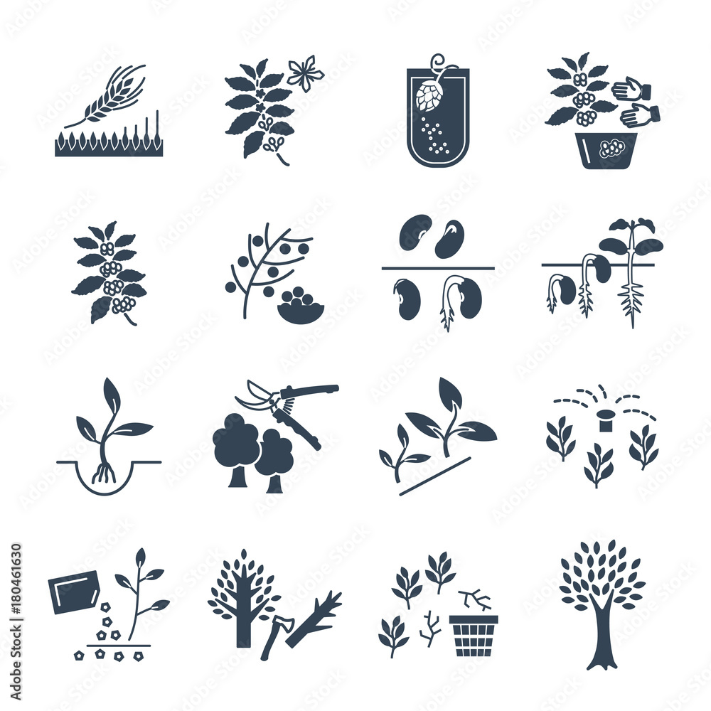 set of black icons plant, herb, grower, coffee, beans, barley set of black icons plant, herb, grower, coffee, beans, barley